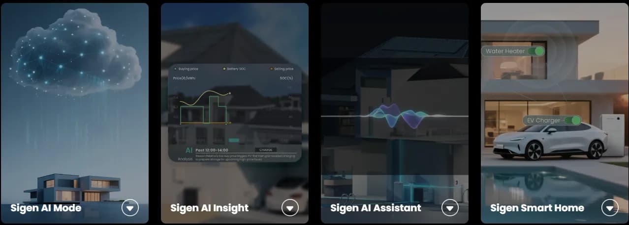 More Intelligent - Sigen AI modes
